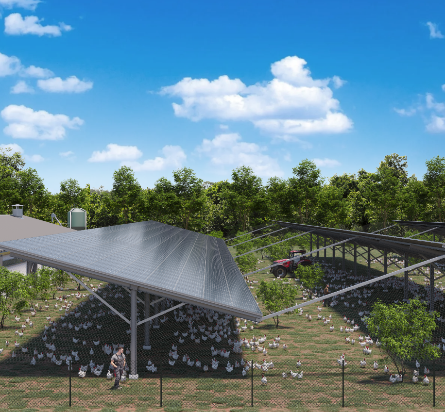 Capture d’écran 2025 08 08 104343