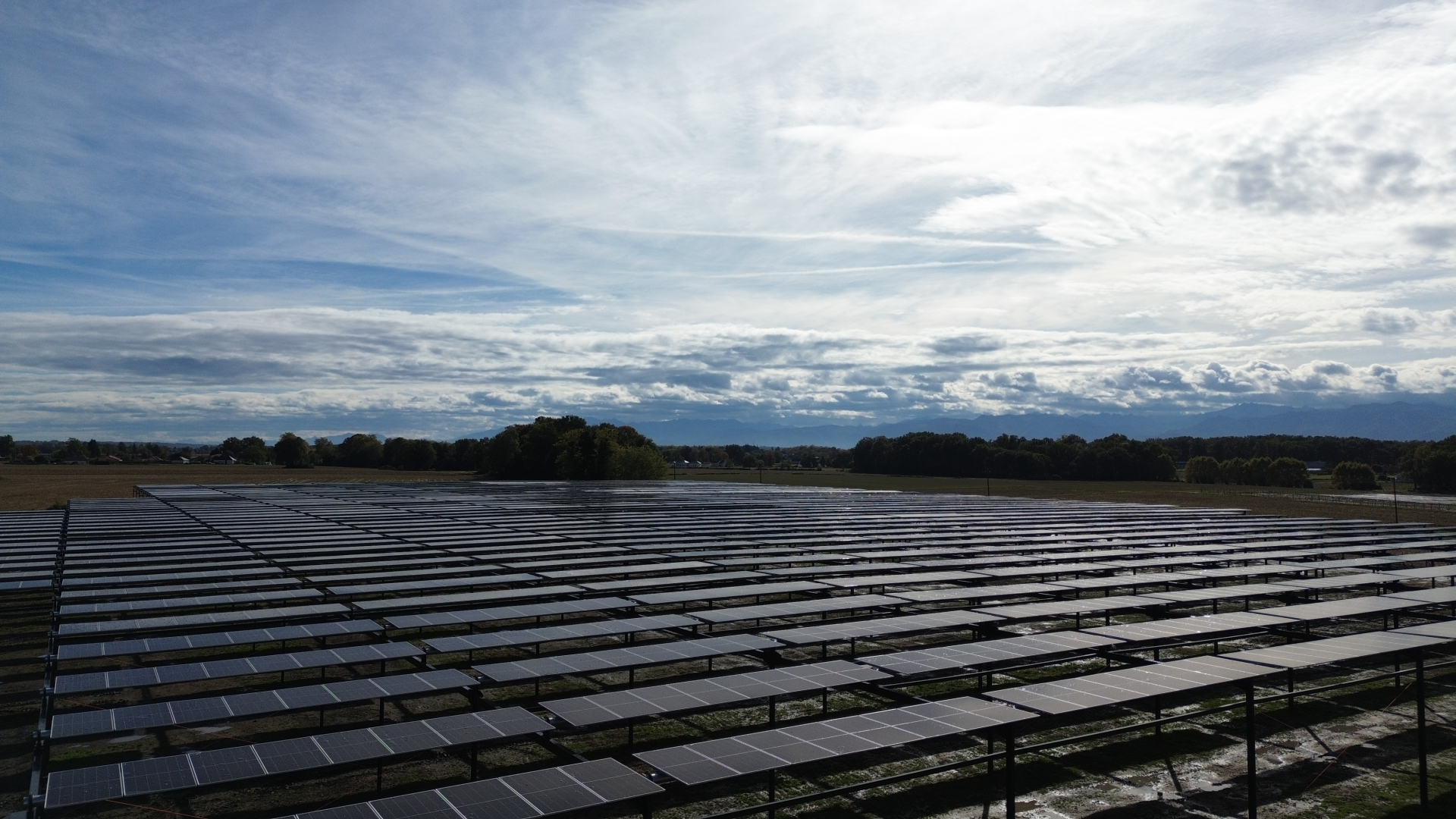 DCIM100MEDIADJI 0785.JPG